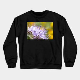 Lacy Phacelia Flower Crewneck Sweatshirt